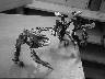 The Vahki in a dust-up with the Toa Maiden. One has its calipers on her, but she has landed a clean backhand to the Vahki on the right.